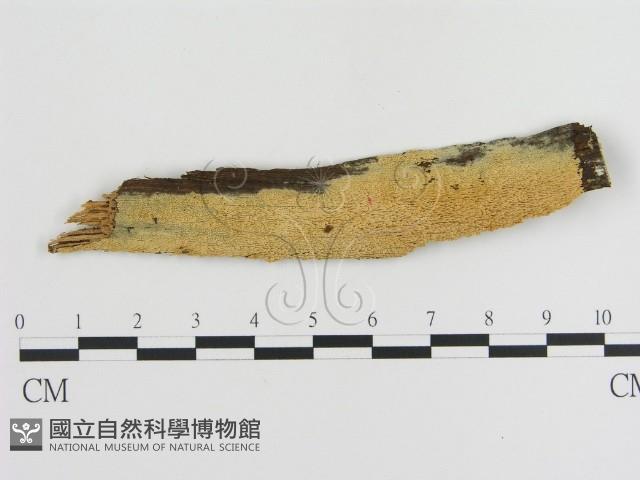 登錄號:F0007869藏品圖，第1張