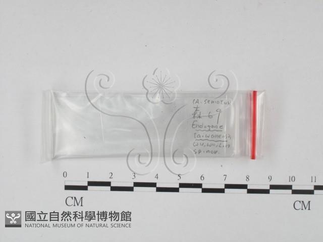 登錄號:F0019869藏品圖，第1張