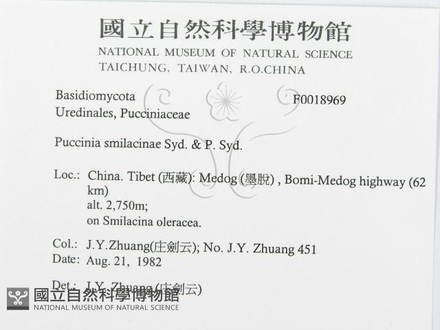 登錄號:F0018969藏品圖，第3張