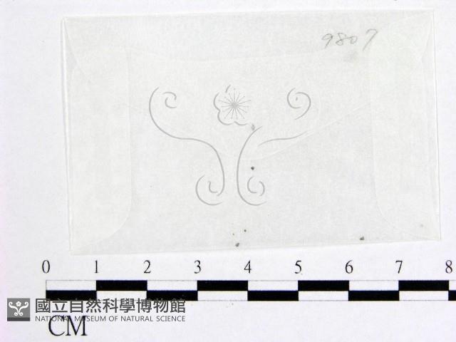 登錄號:F0007969藏品圖，第1張