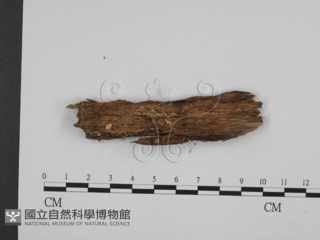 登錄號:F0005969藏品圖，第1張