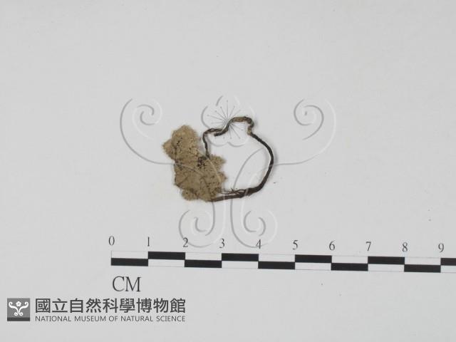 登錄號:F0009969藏品圖，第1張