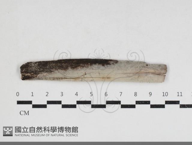 登錄號:F0033969藏品圖，第1張