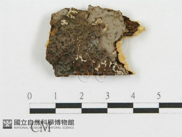 登錄號:F0016669藏品圖，第1張