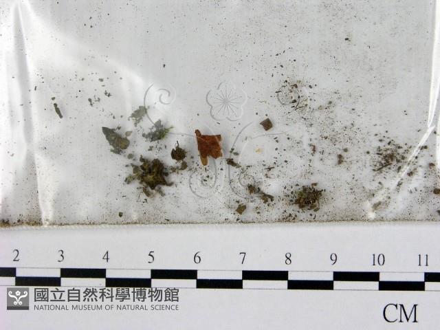 登錄號:F0007669藏品圖，第1張