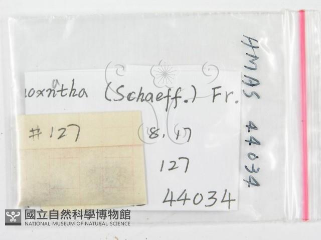 登錄號:F0019669藏品圖，第1張