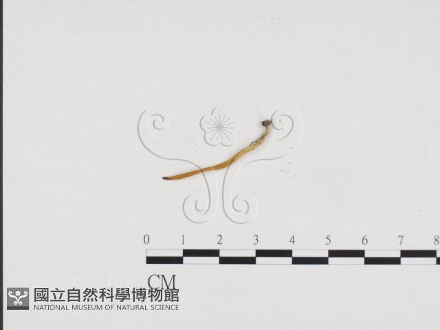 登錄號:F0024469藏品圖，第1張