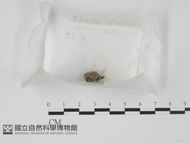 登錄號:F0004469藏品圖，第1張