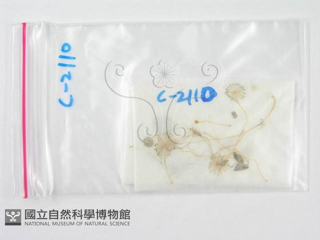 登錄號:F0007469藏品圖，第1張