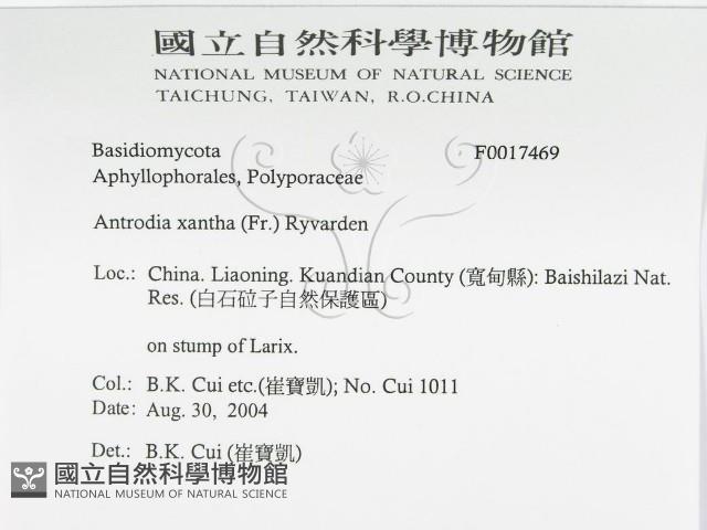 登錄號:F0017469藏品圖，第3張