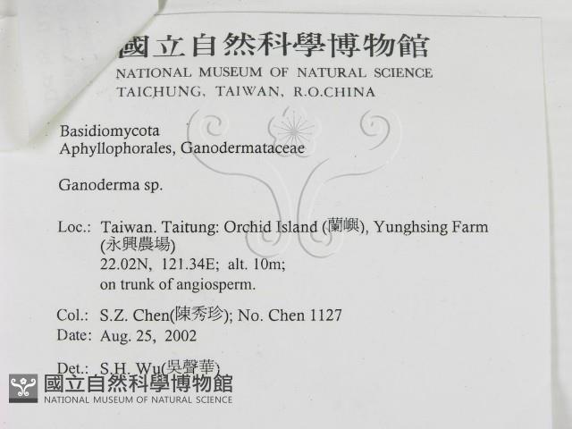 登錄號:F0014769藏品圖，第3張