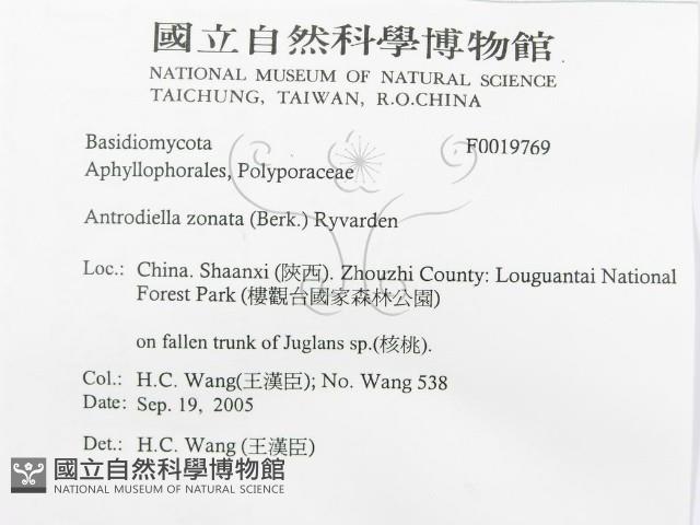 登錄號:F0019769藏品圖，第3張