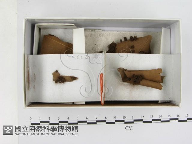 登錄號:F0020569藏品圖，第1張