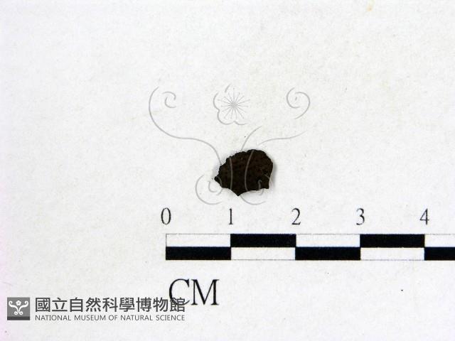 登錄號:F0019569藏品圖，第1張