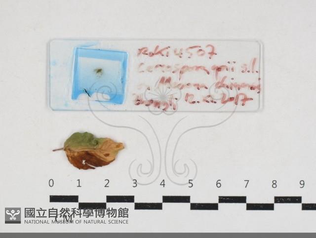 登錄號:F0034169藏品圖，第1張