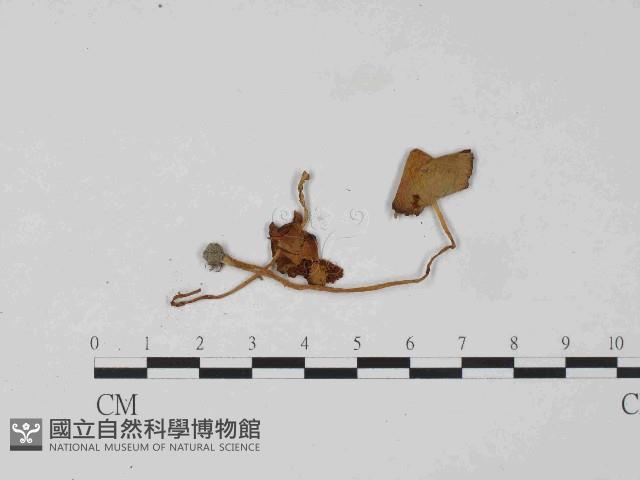 登錄號:F0024069藏品圖，第1張