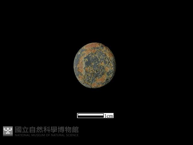 圍棋子藏品圖，第2張