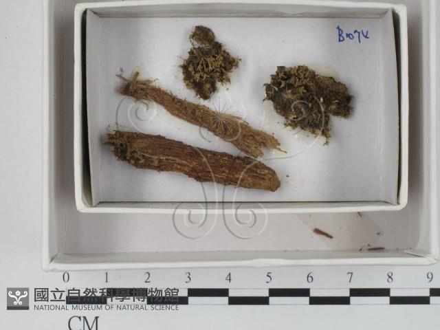 登錄號:F0018369藏品圖，第1張