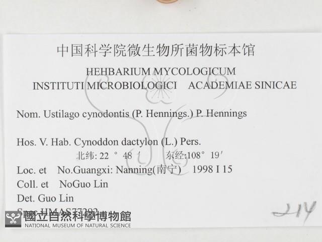 登錄號:F0026369藏品圖，第3張