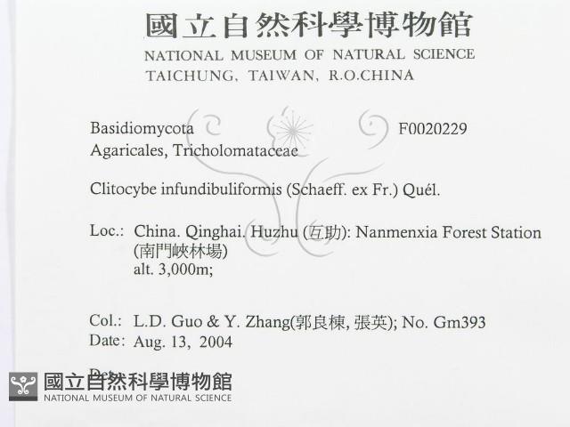 登錄號:F0020229藏品圖，第3張