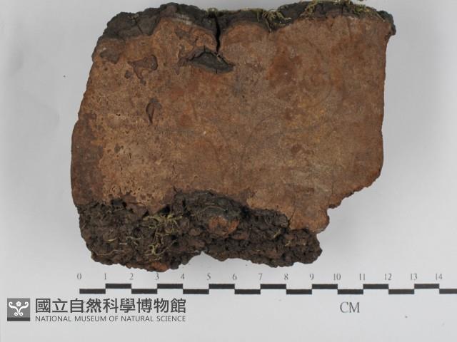 登錄號:F0031229藏品圖，第1張