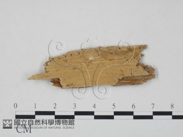 登錄號:F0016829藏品圖，第1張