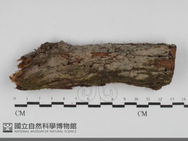 登錄號:F0031829藏品圖，第1張