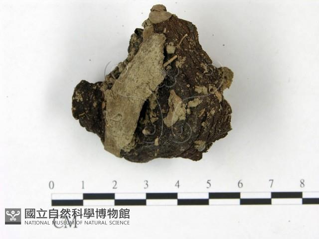 登錄號:F0022829藏品圖，第1張