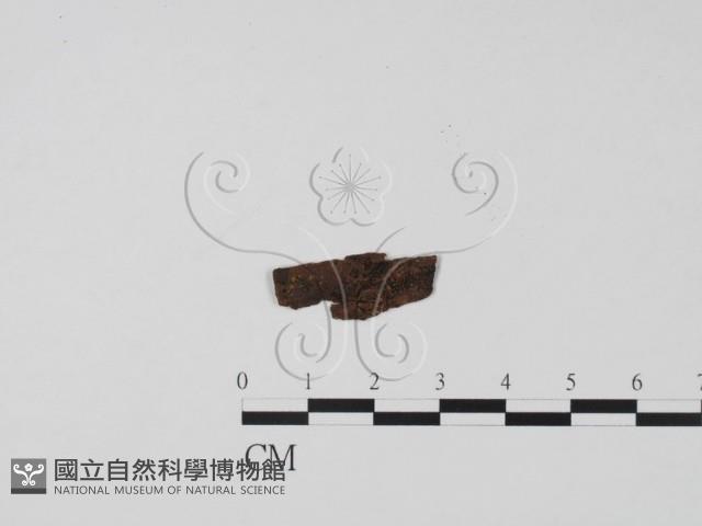 登錄號:F0008929藏品圖，第1張