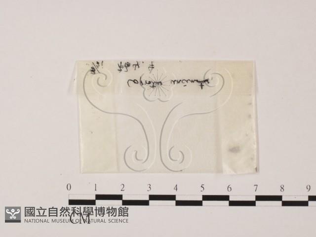 登錄號:F0001929藏品圖，第1張