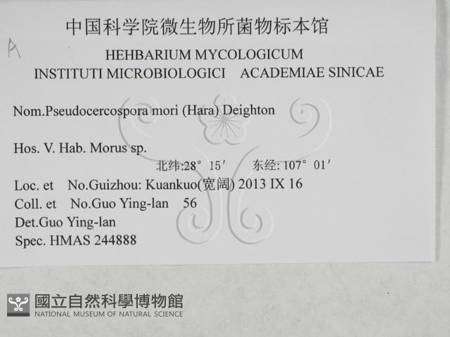 登錄號:F0027929藏品圖，第3張