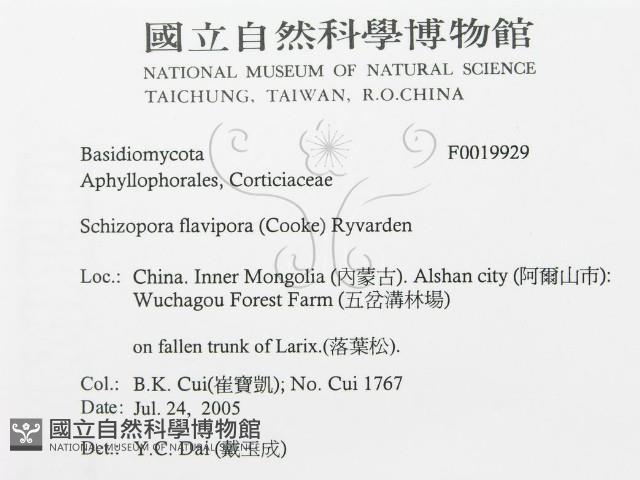 登錄號:F0019929藏品圖，第3張