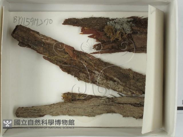 登錄號:F0018629藏品圖，第1張