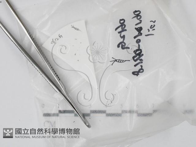 登錄號:F0020629藏品圖，第1張