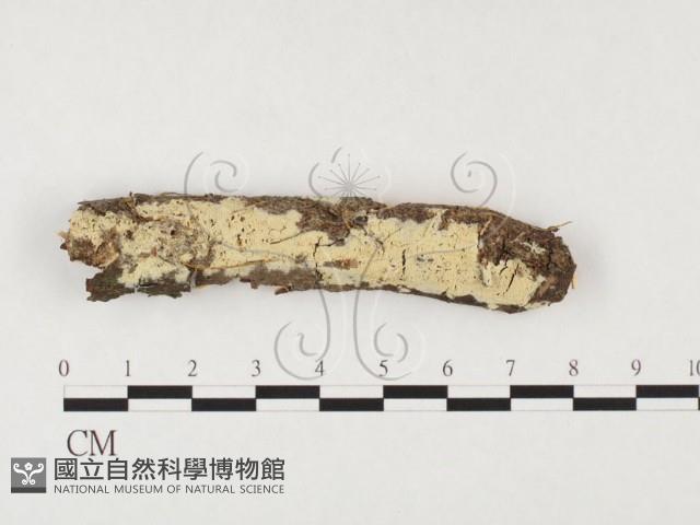 登錄號:F0026629藏品圖，第1張