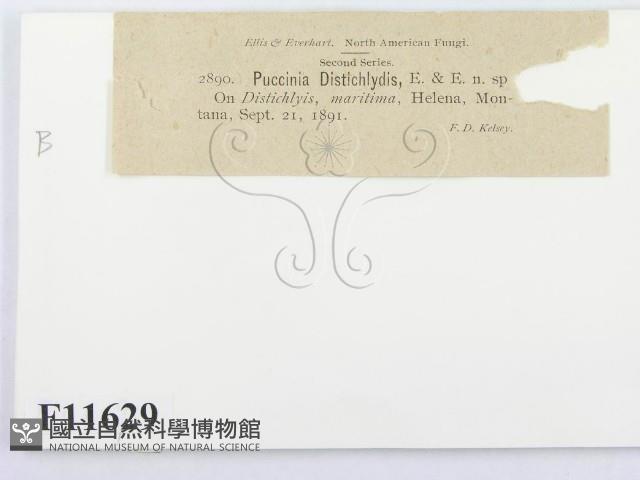 登錄號:F0011629藏品圖，第3張