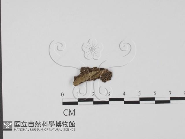 登錄號:F0019629藏品圖，第1張