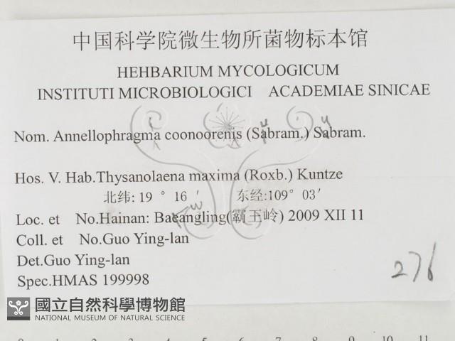 登錄號:F0026429藏品圖，第3張