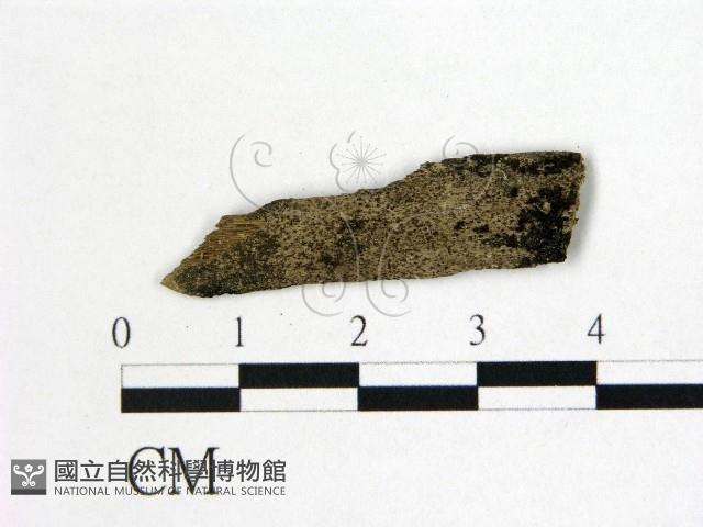 登錄號:F0022429藏品圖，第1張