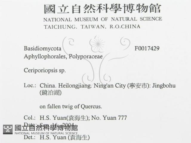 登錄號:F0017429藏品圖，第3張