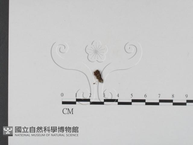 登錄號:F0000729藏品圖，第1張