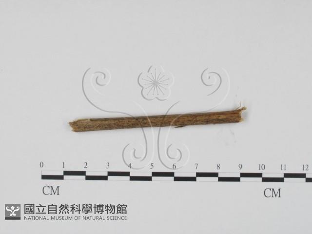登錄號:F0011729藏品圖，第1張