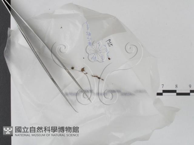 登錄號:F0017729藏品圖，第1張