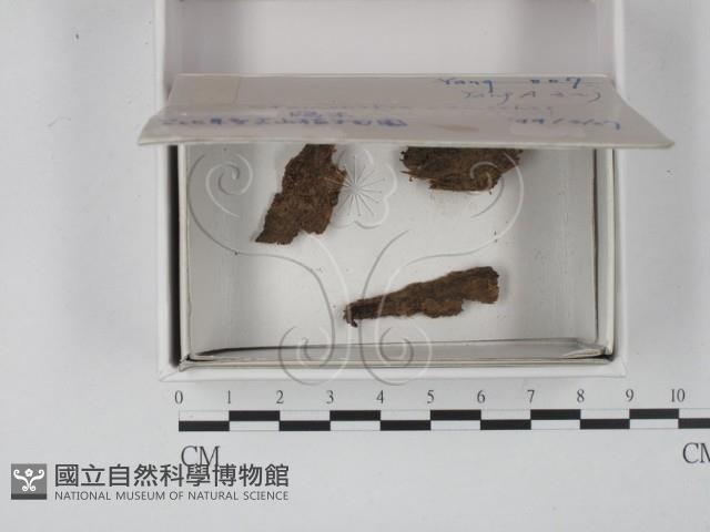 登錄號:F0020529藏品圖，第1張