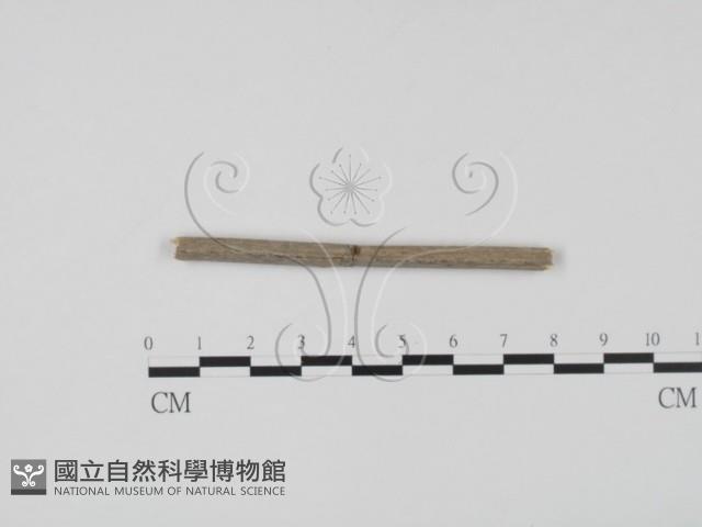 登錄號:F0011529藏品圖，第1張