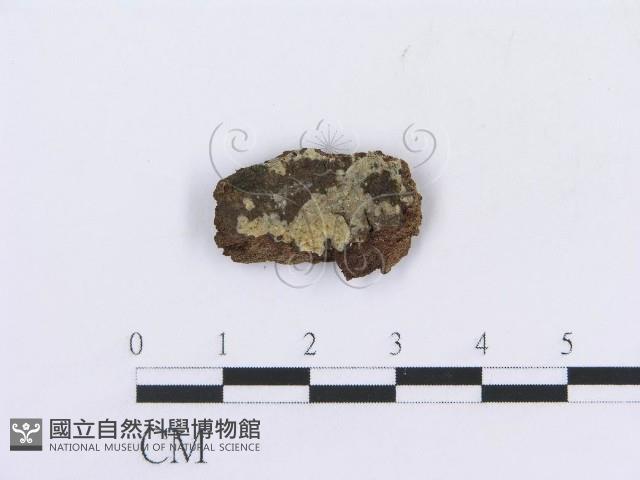 登錄號:F0016809藏品圖，第1張