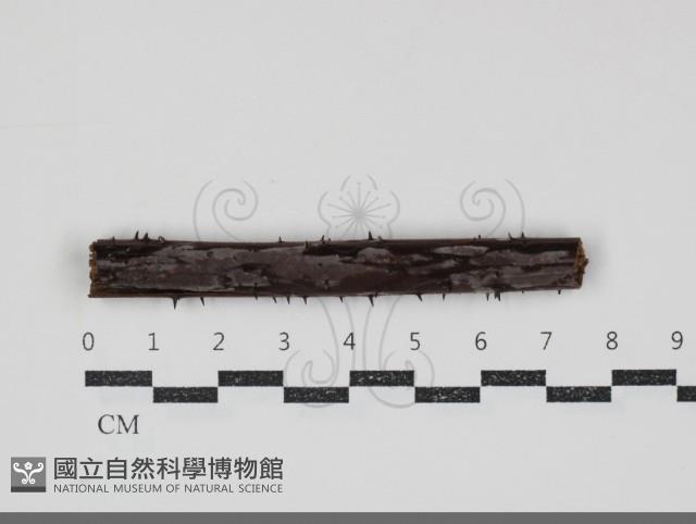 登錄號:F0034809藏品圖，第1張