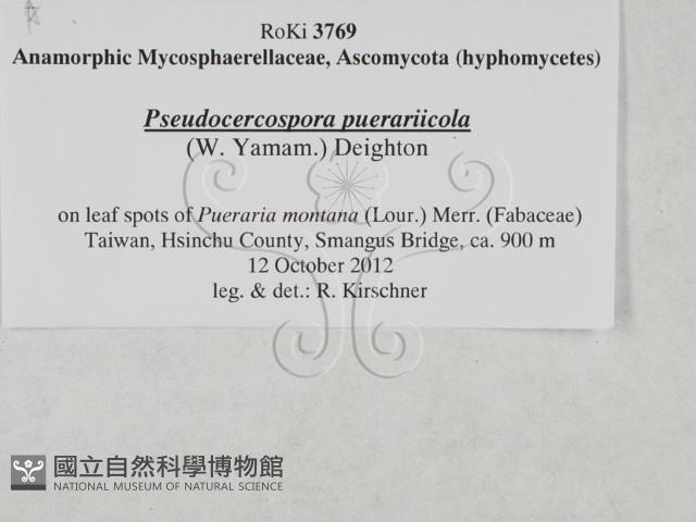 登錄號:F0027909藏品圖，第3張