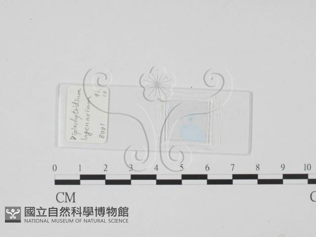 登錄號:F0017909藏品圖，第1張