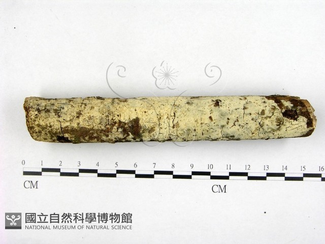 登錄號:F0022609藏品圖，第1張